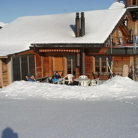 Appartement Bergdohle à Adelboden Extérieur photo