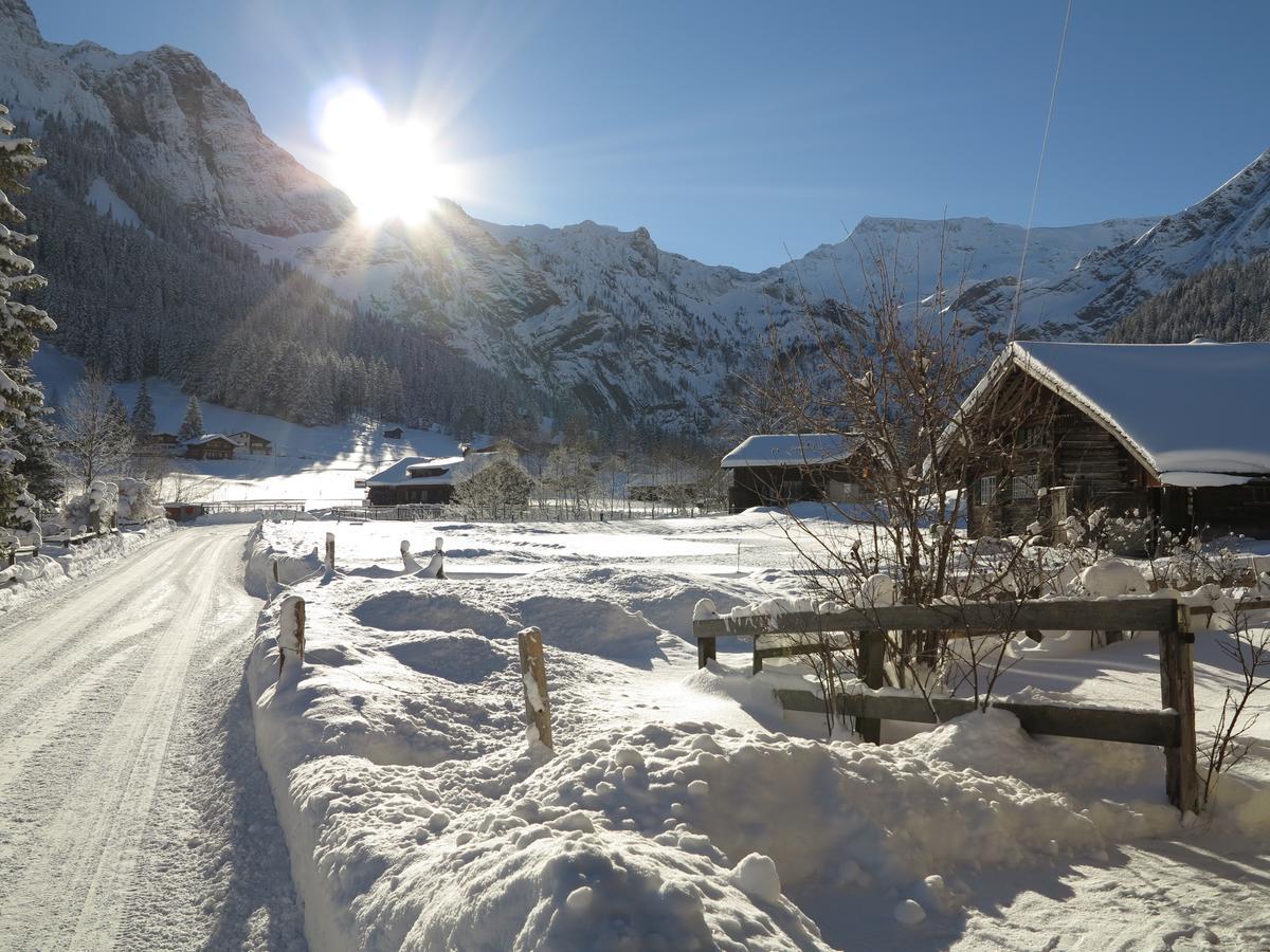 Appartement Bergdohle à Adelboden Extérieur photo