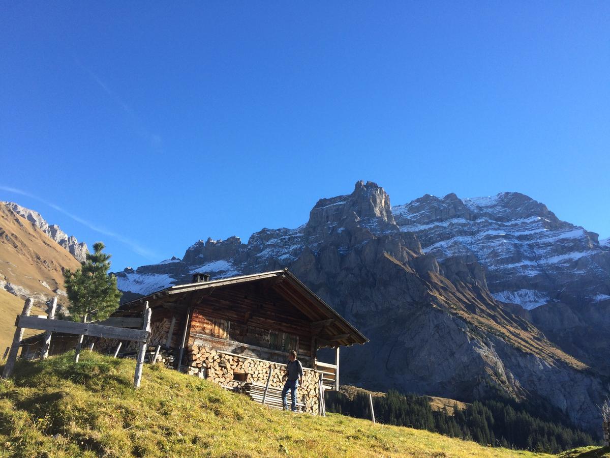 Appartement Bergdohle à Adelboden Extérieur photo