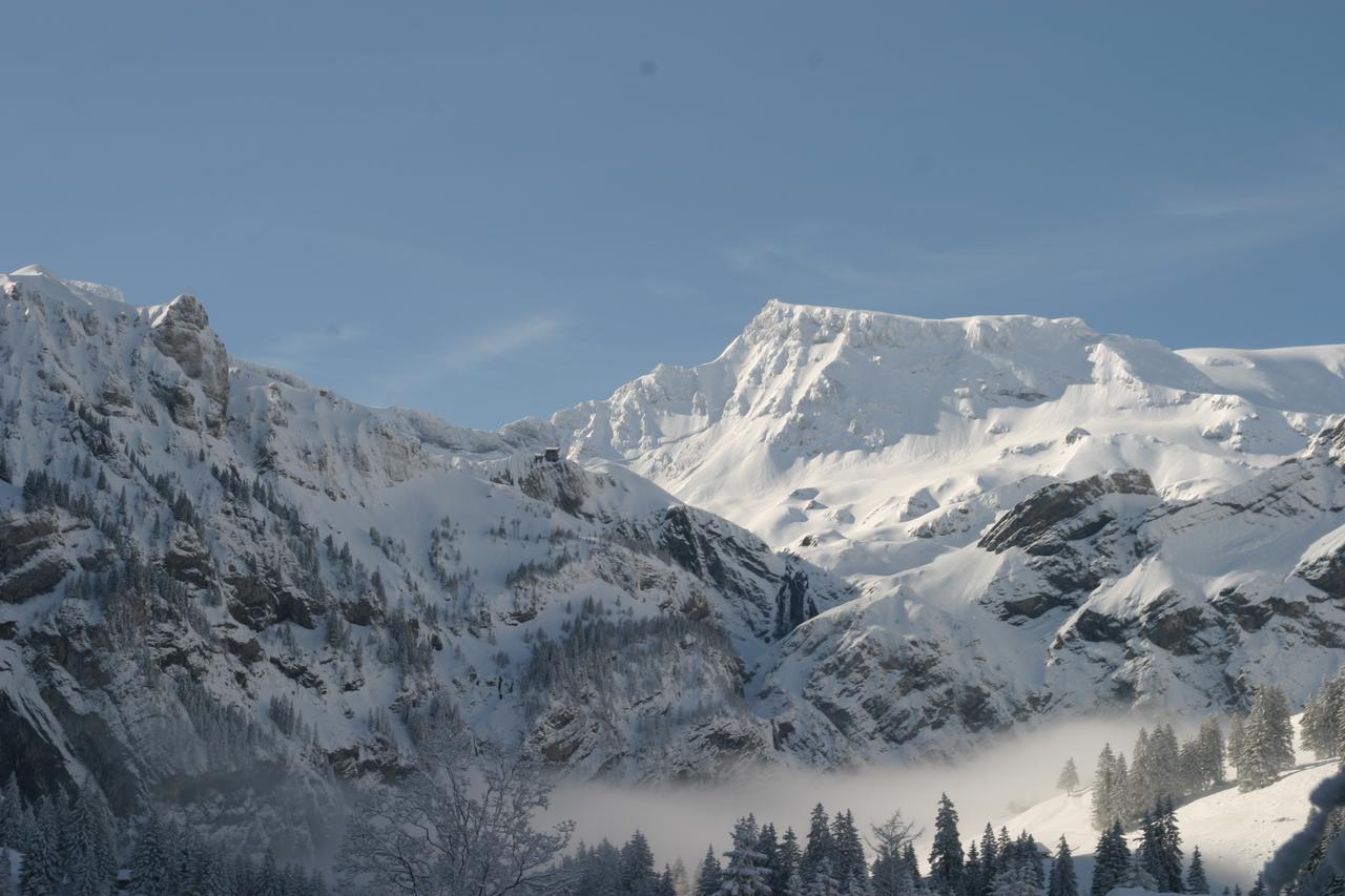Appartement Bergdohle à Adelboden Extérieur photo