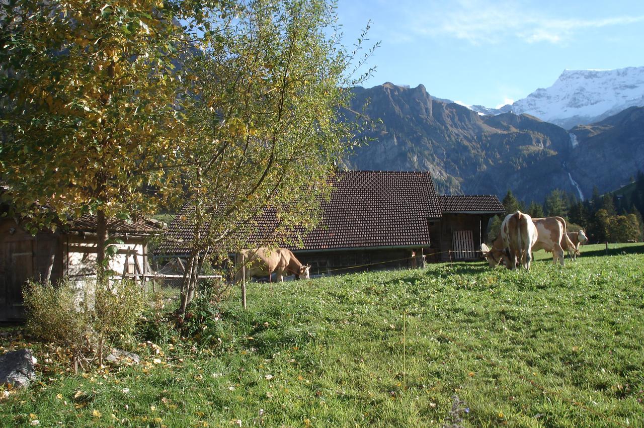 Appartement Bergdohle à Adelboden Extérieur photo