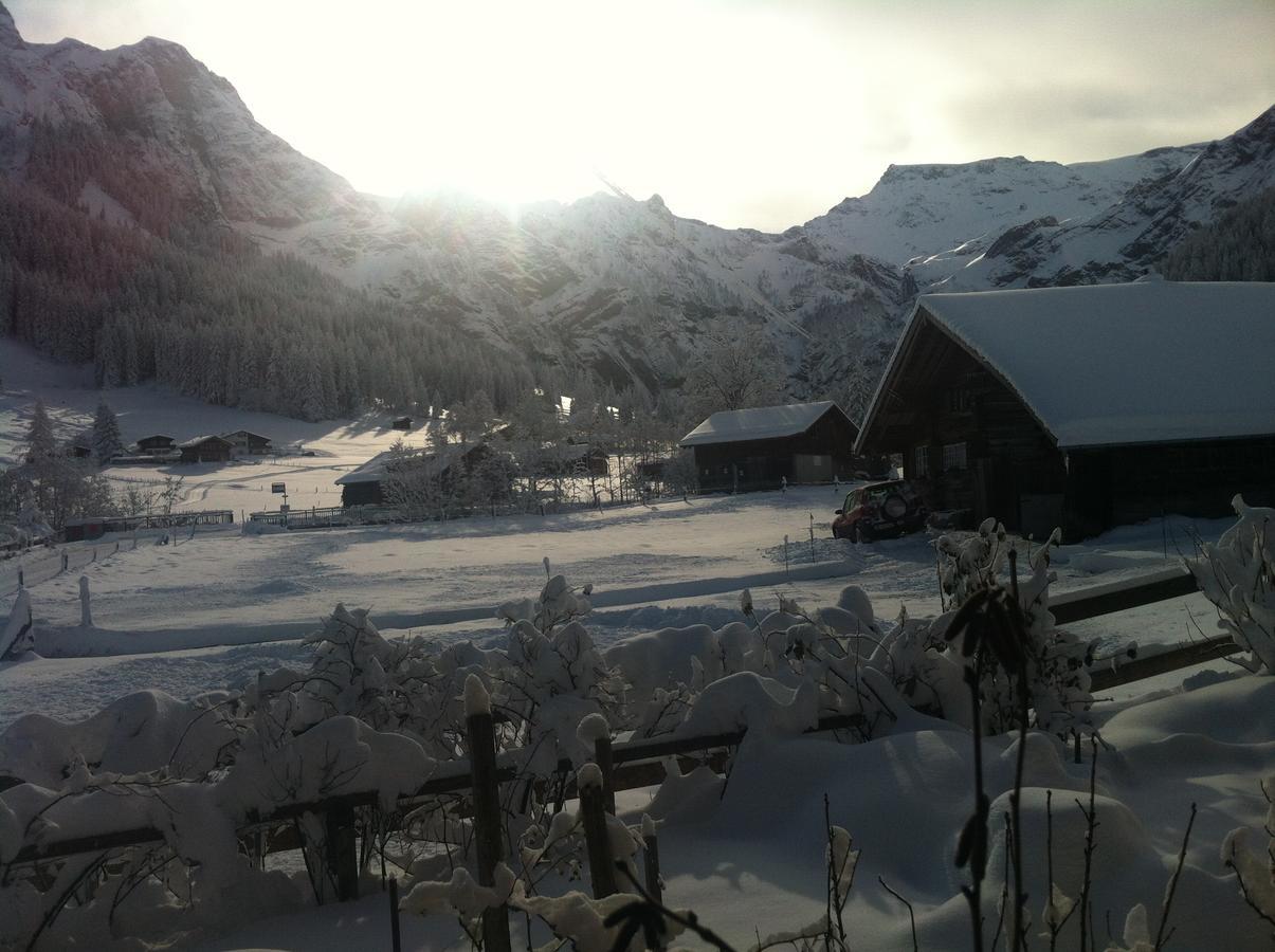 Appartement Bergdohle à Adelboden Extérieur photo