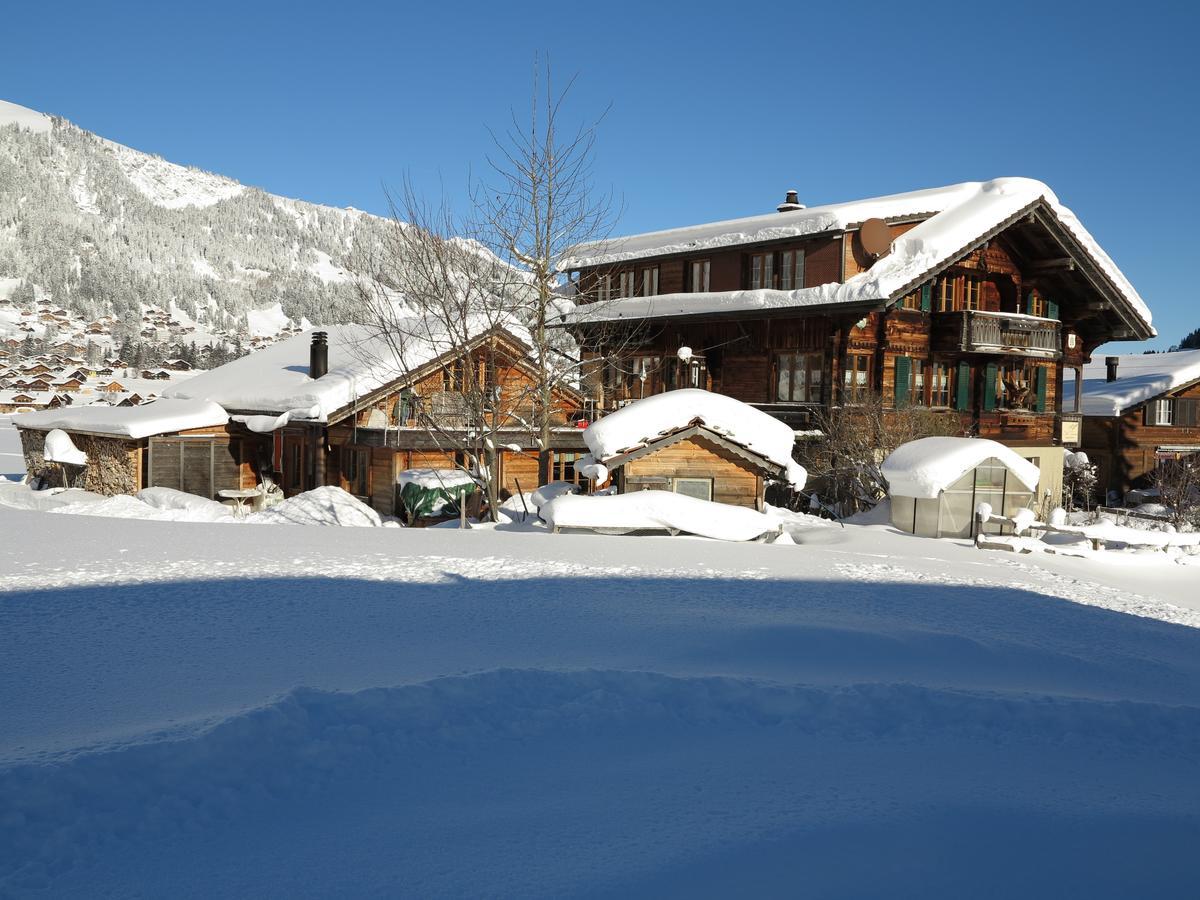 Appartement Bergdohle à Adelboden Extérieur photo