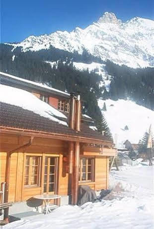 Appartement Bergdohle à Adelboden Extérieur photo